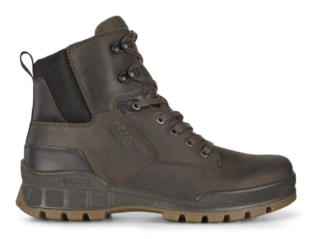 ECCO Mens Hiking Shoes Brown - Track 25 Mid Boot - QZU-045687